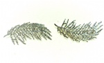 Alloy brooch Pins